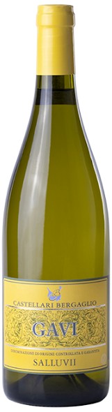 Castellari Bergaglio Saluvii Gavi DOCG Piemont Italien 0,75 l